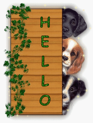 a hello